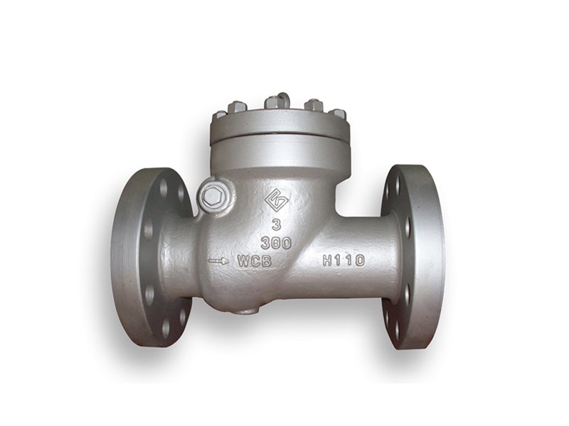 API6D/BS1868 Swing Check valve